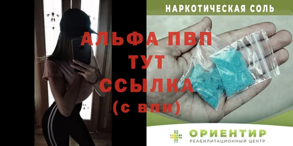 индика Михайловск