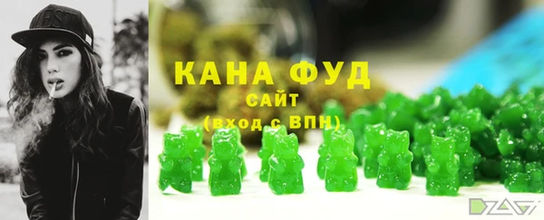 индика Михайловск