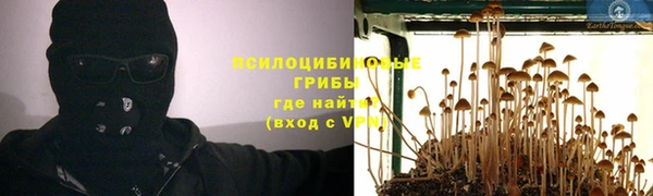 стафф Медногорск