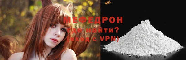 индика Михайловск