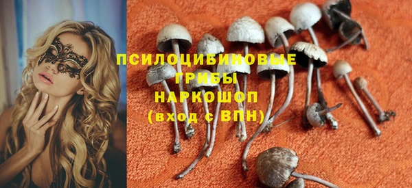 индика Михайловск