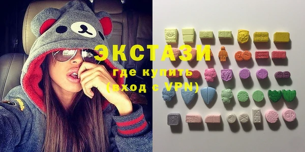 индика Михайловск