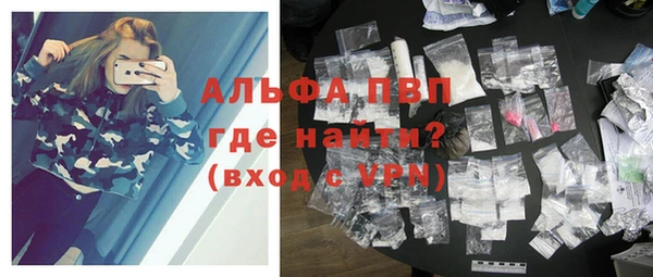 индика Михайловск