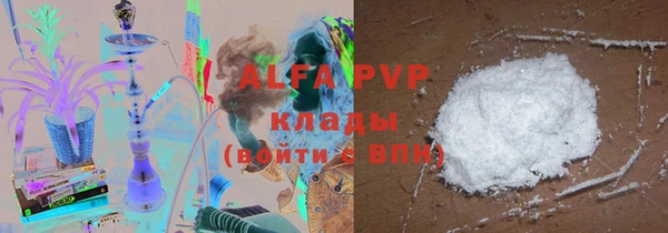 индика Михайловск