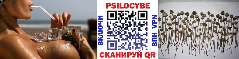 Псилоцибиновые грибы мухоморы  Полтавская 